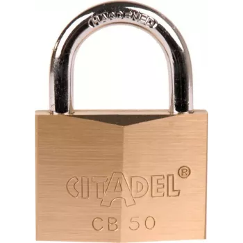 ABUS 50mm Lucchetto massiccio in ottone con archetto in acciaio temprato e 2 chiavi 238390
