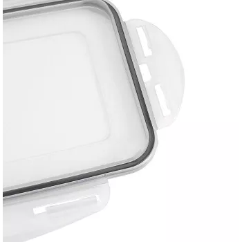 APS Vaschetta per cubetti di ghiaccio con coperchio, trasparente/grigio, set da 2, polipropilene, lavabile in lavastoviglie 36103