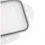 APS Vaschetta per cubetti di ghiaccio con coperchio, trasparente/grigio, set da 2, polipropilene, lavabile in lavastoviglie 36103