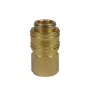Einhell innesto rapido, R1/4 filettatura femmina accessorio compressore (4139206)