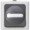 HEINRICH KOPP Interruttore universale BLUE ELECTRIC grigio da parete per ambienti umidi 10A, 250V (560656006)