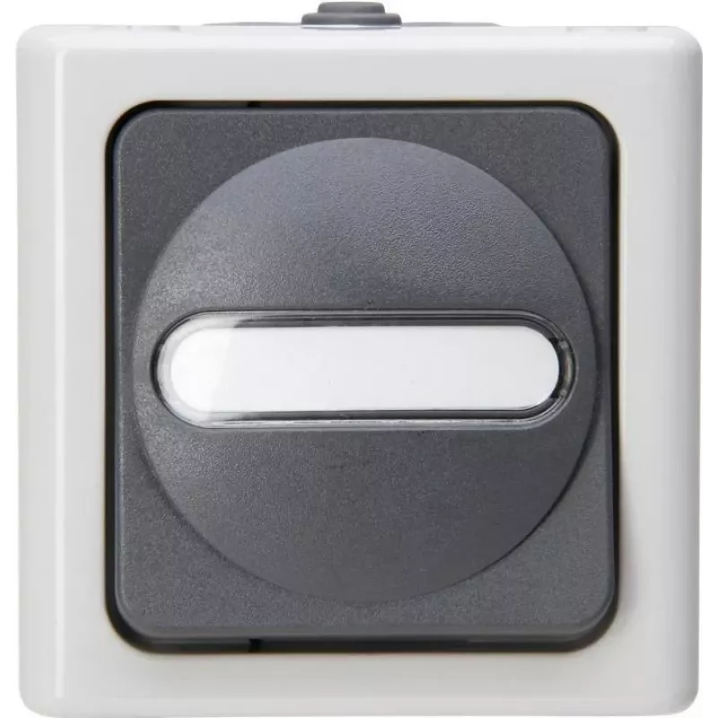 HEINRICH KOPP Interruttore universale BLUE ELECTRIC grigio da parete per ambienti umidi 10A, 250V (560656006)