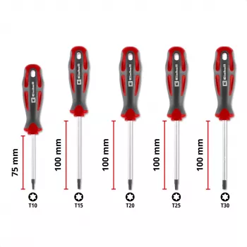 Einhell set di cacciaviti Torx universali T10-T30, 5 pezzi, punte magnetiche, acciaio cromo-vanadio, impugnature ergonomiche bi-materiale, officina e fai da te 370537