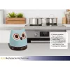 TFA Dostmann gufo timer da cucina meccanico, turchese, 60 minuti, analogico, senza batterie 38.1039