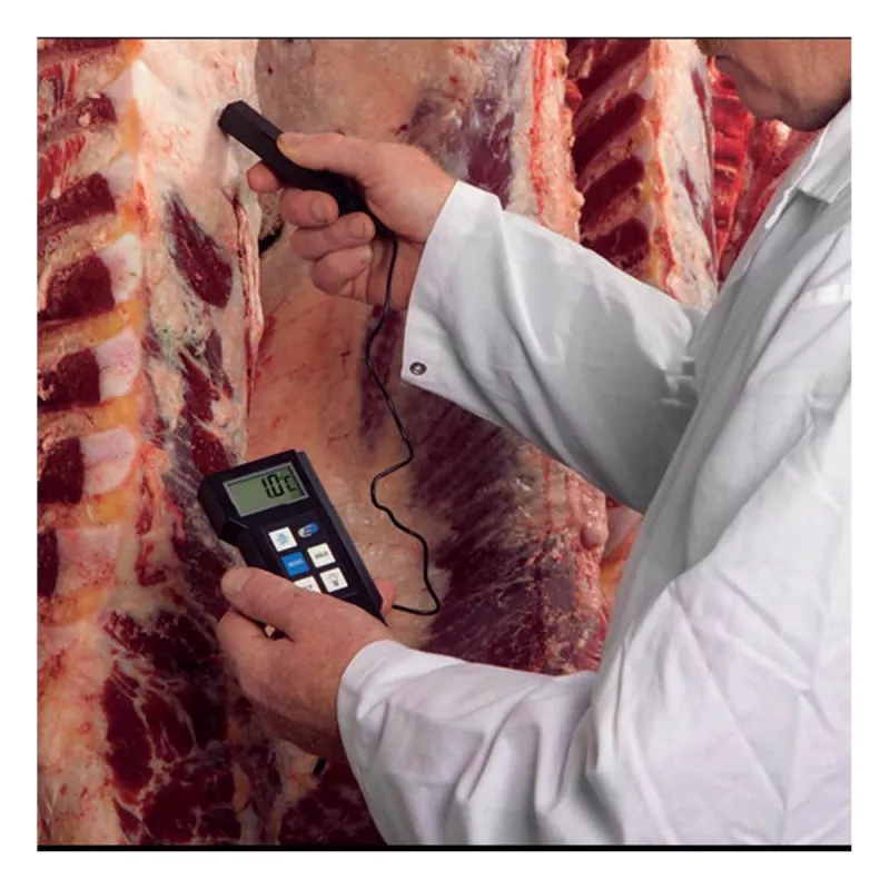 TFA Dostmann 31.1020 Termometro a sonda digitale professionale, NTC, da -40 a +200 °C, sonda in acciaio inox, IP65