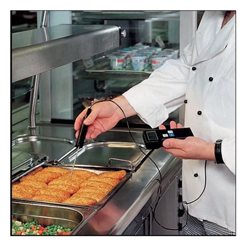 TFA Dostmann 31.1020 Termometro a sonda digitale professionale, NTC, da -40 a +200 °C, sonda in acciaio inox, IP65