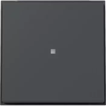 Gira TX_44 copribilanciere interruttore con finestra di controllo, antracite 329067