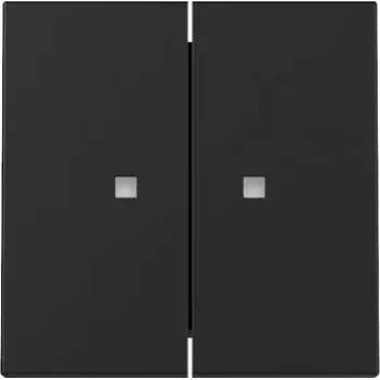 Gira System 55 Coperchio a bilanciere, 2 moduli, per funzione di comando, nero opaco 3631005