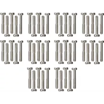 Gira Set viti a testa cilindrica 50 pezzi WG AP 818000