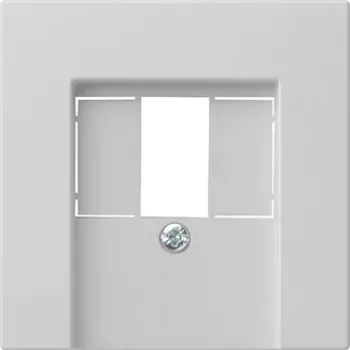 Gira System 55 Placca coprifilo per TAE e USB, grigio 0276015
