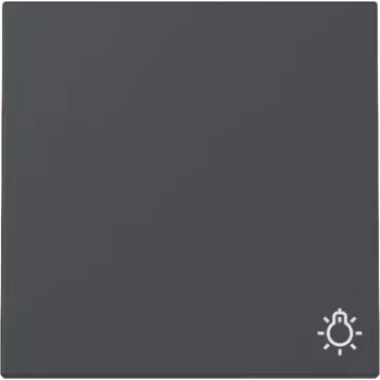 Gira System 55 coperchio bilanciere con simbolo luce, antracite opaco 328528
