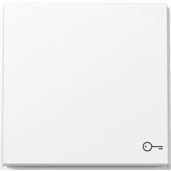 Gira TX44 bilanciere con simbolo porta, bianco puro seta opaco 328766