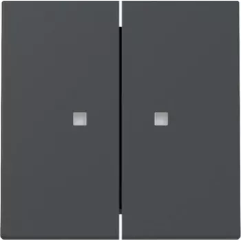 Gira System 55 coperchio doppio bilanciere interruttore con finestra di controllo, antracite opaco 363128