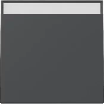 Gira System 55 bilanciere pulsante antracite opaco 329928
