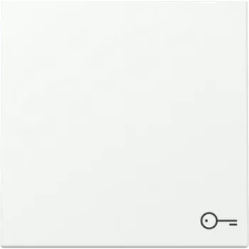 Gira System 55 Placca a bilanciere con simbolo porta, bianco puro satinato 328727