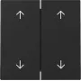 Gira System 55 Doppio bilanciere placca interruttore con frecce, nero opaco 3297005