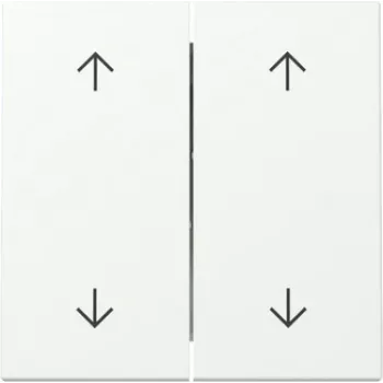 Gira System 55 Bilanciere con due frecce, bianco puro opaco 329727