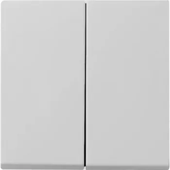 Gira System 55 Placca interruttore a bilanciere 2 posti, grigio 0295015