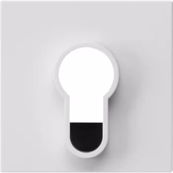 Placca di copertura Gira per interruttore a chiave, System 55, bianco puro lucido, 55 x 55 mm 866403