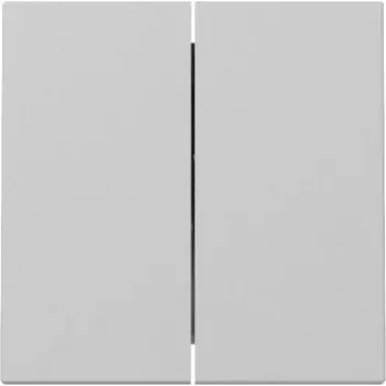 Gira System 55 Bilanciere 2 posti grigio opaco 3295015