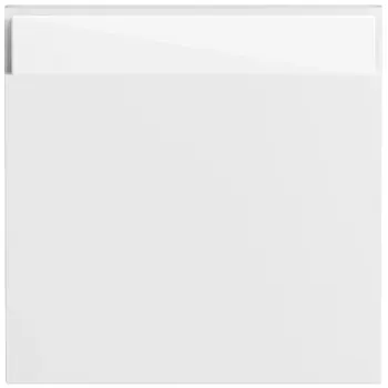 Gira 329970 coprifilo interruttore a bilanciere, bianco puro lucido, System 55
