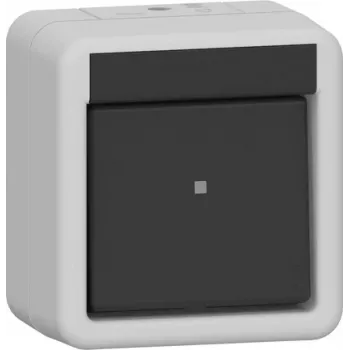 GIRA interruttore a bilanciere 310230 off 2 poli WG AP grigio (310230)