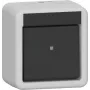 GIRA interruttore a bilanciere 310230 off 2 poli WG AP grigio (310230)
