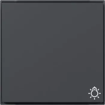 Gira TX44 tasto basculante con simbolo luce e LED di controllo, antracite 328567