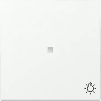 GIRA tasto con funzione di controllo e simbolo luce, System 55, bianco opaco (367427)