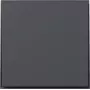 Gira TX44 placca per bilanciere dritta antracite 349667