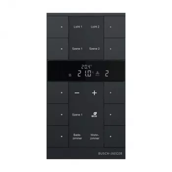 Busch-Jaeger termostato ambiente 10 canali, nero opaco SBR-F-10.0.11-885 (2CKA006220A0901)