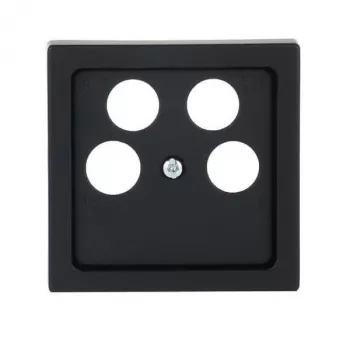 Busch-Jaeger Placca centrale nero copertura 1743/10-04-885 2CKA001724A4371