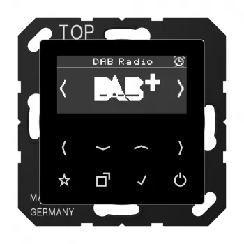 JUNG Smart Radio DABASW DAB+ FM Radiosveglia con allarme, sleep-timer, altoparlante mono, nero