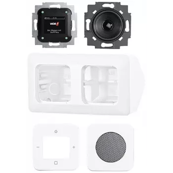 Busch-Jaeger Busch-Radio DAB+ set completo montaggio ad angolo 8250 AJ-214-101 bianco studio 2CKA008200A0235