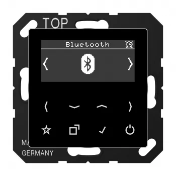 JUNG DABABTSW Smart Radio DAB+ con Bluetooth