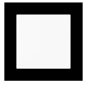 Busch-Jaeger bilanciere 1 modulo, senza stampa, bianco alpino 2CKA006220A0925