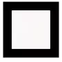 Busch-Jaeger bilanciere 1 modulo, senza stampa, bianco alpino 2CKA006220A0925