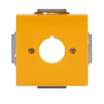 Busch-Jaeger future® linear placca centrale copertura, giallo, 1 modulo, per inserti a bilanciere 2CKA001724A4382