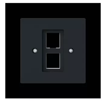 Busch-Jaeger placca centrale con anello di supporto Modular Jack 2561-02-45M 2CKA001753A9929