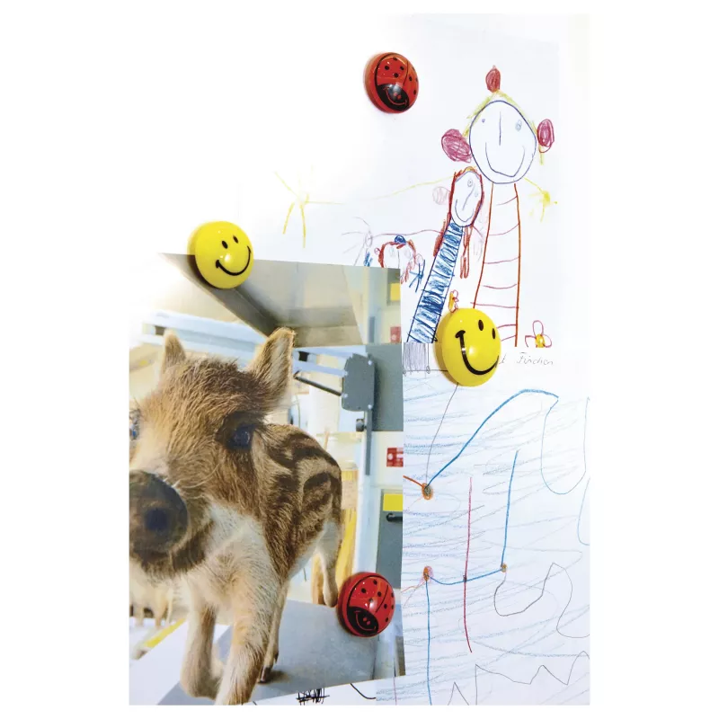 Magnetoplan 16672 Magneti per lavagna Smiley Ø 30 mm, 6 pezzi