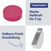 MAGNETOPLAN HOLTZ magnete Ergo Medium 1664018 30mm rosa 10 pezzi