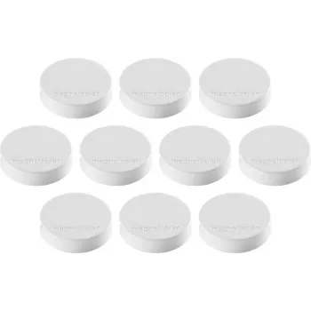 Magnetoplan Ergo-Magnete Medium magnete in ferrite bianco, 30 mm, 1 pz. 1664000