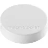 Magnetoplan Ergo-Magnete Medium magnete in ferrite bianco, 30 mm, 1 pz. 1664000