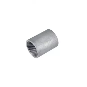 FRAENKISCHE Giunto filettato per tubo corrugato in acciaio SM-E-V 50, zincato, M50, per FFS-ES/FFSK-ES-UV 20450050