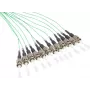 GoodConnections Alcasa LW-802PT Cavo patch in fibra ottica 2m 12x ST turchese (LW-802PT)
