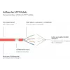 GoodConnections 8070VR-100R Cat.7 S/FTP RJ45 prolunga per cavo patch, PiMF, privo di alogeni, 600 MHz, OFC, protezione dell'aletta RNS, 10 m, rosso