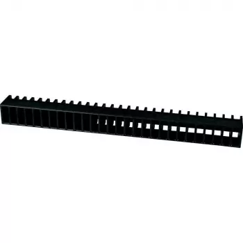 EATON BZ248 Guida di montaggio profilo C 20x48 mm, 2000 mm, acciaio zincato a caldo, preforata 076516