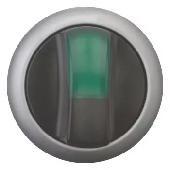 Eaton M22-WLK3-G Selettore, 3 posizioni, a ritenuta, leva verde, placca titanio, 22,5 mm 216837