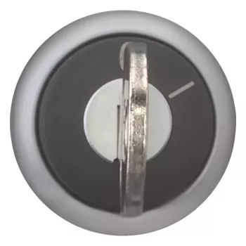 Eaton M22-WRS-A1 Selettore a chiave, 2 posizioni, a scatto, attuatore nero, anello frontale titanio argento, montaggio 22,5 mm, IP66/IP67/IP69K 229092