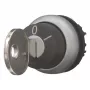 Eaton M22-WRS-MS10 selettore a chiave, 2 posizioni, nero/titanio, 22,5 mm 111775